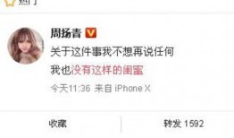 济南爆料最新消息今天新闻,今日热点事件速览
