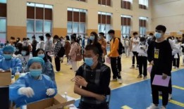 国宝YY最新爆料消息,揭秘娱乐圈最新热点事件