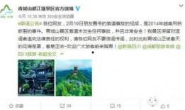 成都爆料 辟谣视频最新,揭秘网络谣言真相