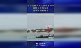 海洋最新爆料视频大全集,最新爆料视频大全集精彩回顾