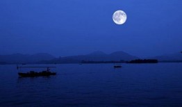 平湖秋月爆料最新消息,最新热点事件深度解析