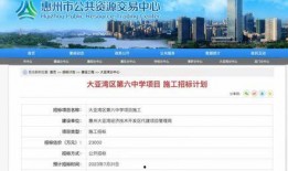 爆料惠州新闻最新消息事件,重大事件引发社会关注
