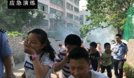 巴南学校爆料事件最新,真相揭开，家长学生热议