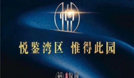 惠州爆料最新消息视频播放,视频揭露惊人真相！