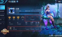 王者西风爆料最新消息在哪看,揭秘最新消息观看途径